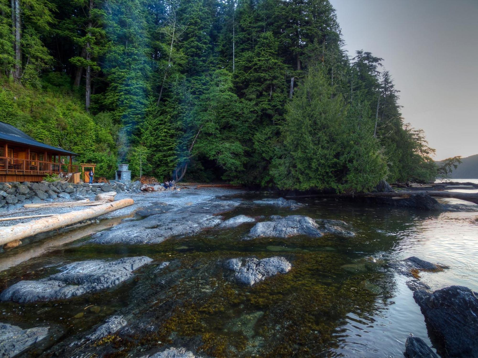 Wild Renfrew Seaside Cottages Port Renfrew Ruang foto