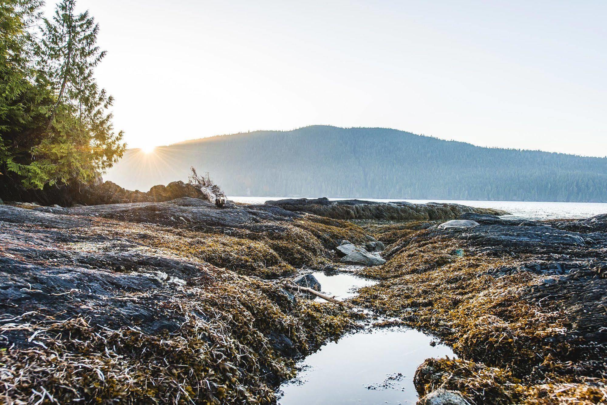 Wild Renfrew Seaside Cottages Port Renfrew Bagian luar foto
